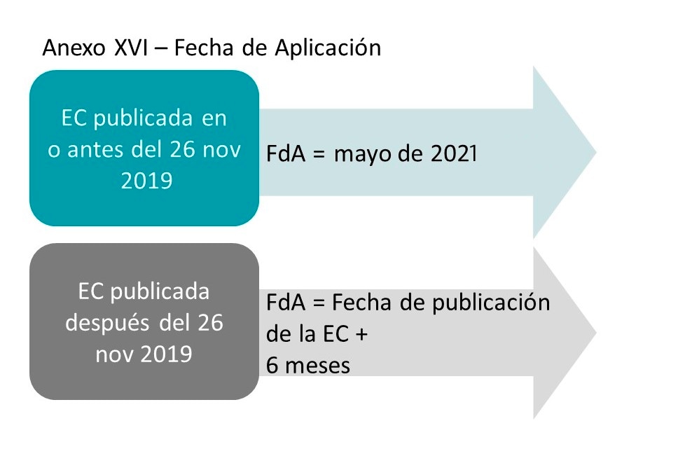 Anexo XVI - Fecha de aplicación